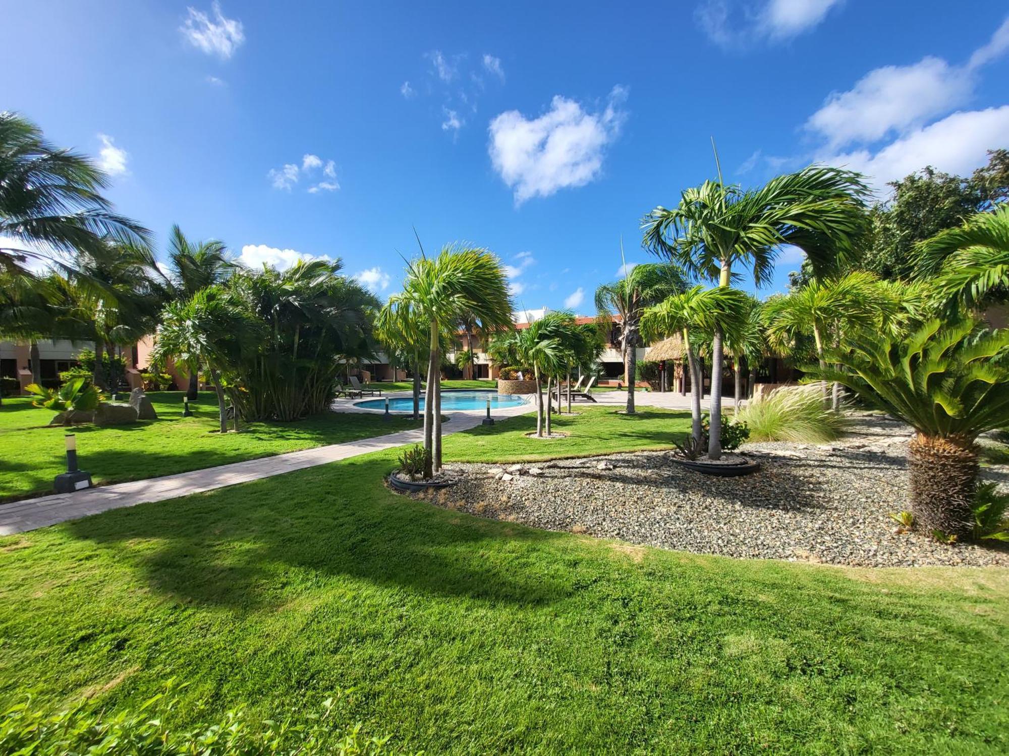 Eagle Beach Luxury House, Walking Distance To The Beach 棕榈滩 外观 照片