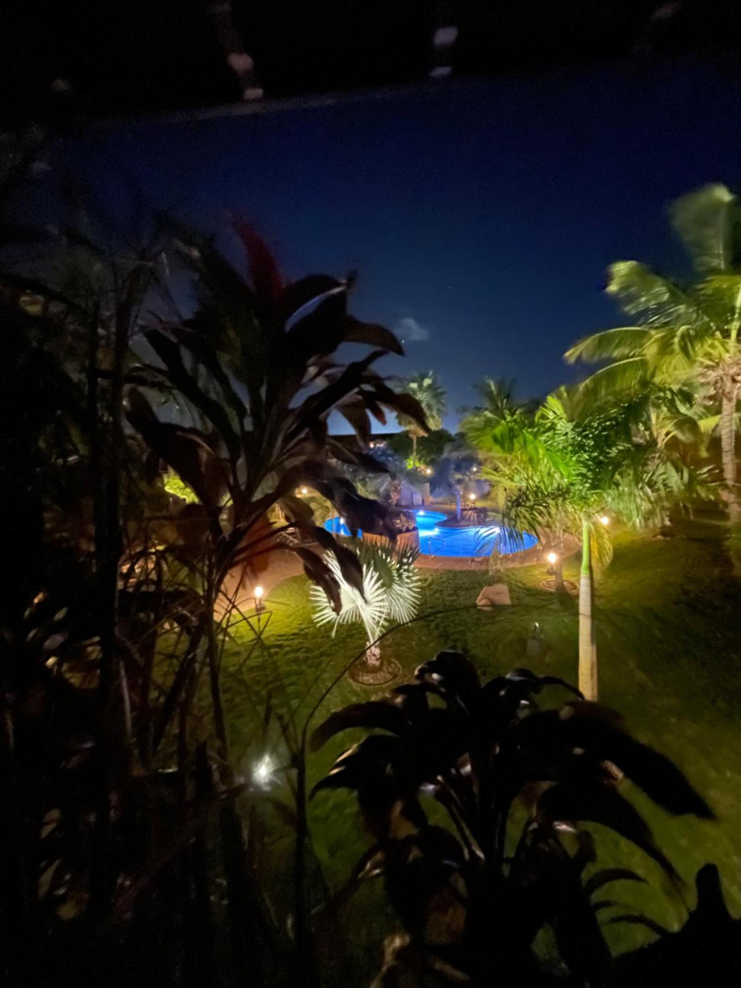 Eagle Beach Luxury House, Walking Distance To The Beach 棕榈滩 外观 照片