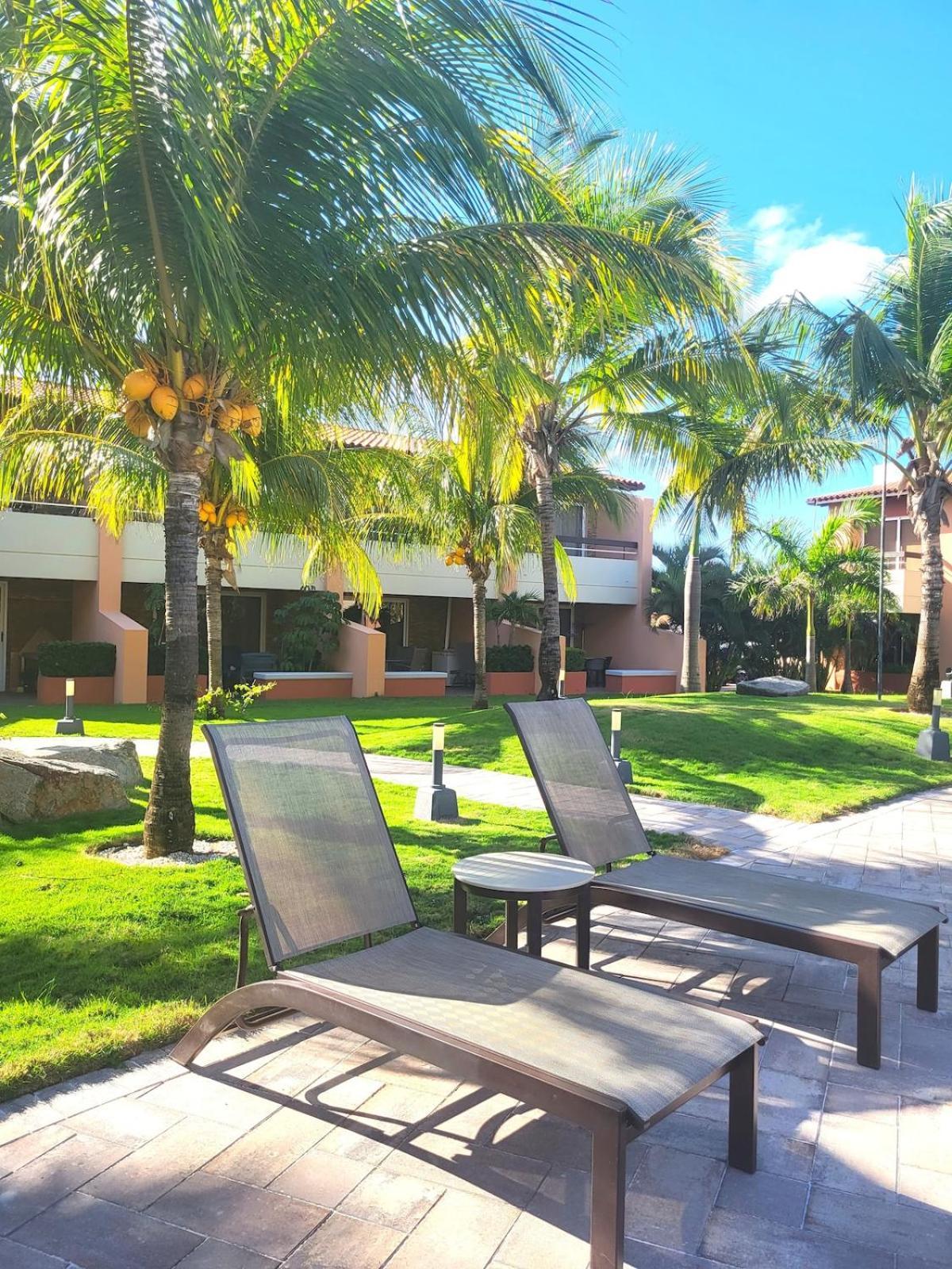 Eagle Beach Luxury House, Walking Distance To The Beach 棕榈滩 外观 照片