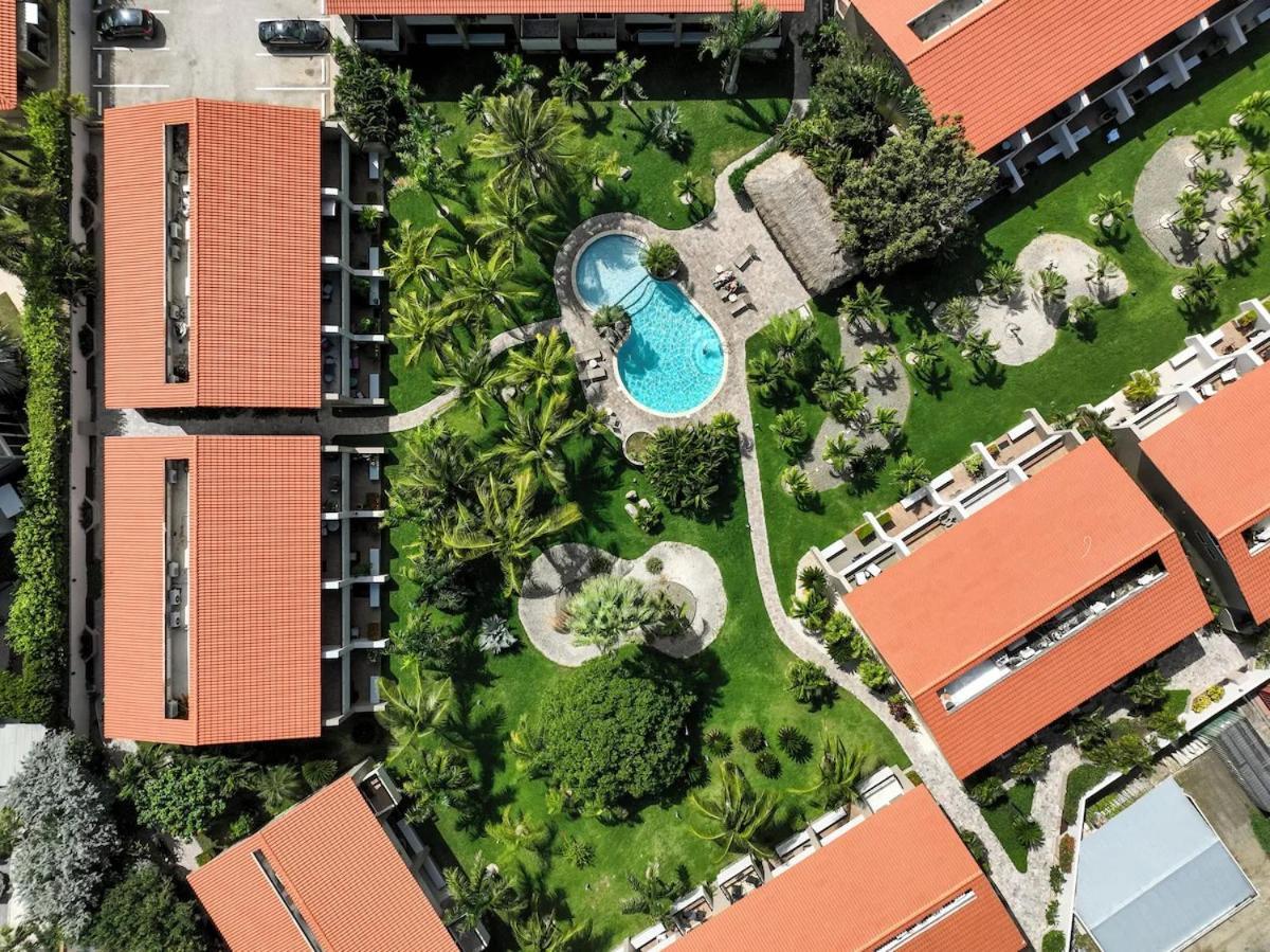 Eagle Beach Luxury House, Walking Distance To The Beach 棕榈滩 外观 照片